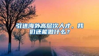 引进海外高层次人才，我们还能做什么？