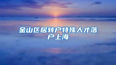 金山区居转户特殊人才落户上海