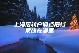 上海居转户调档后档案放在哪里