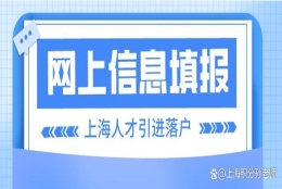 上海疫情下：人才引进落户，如何在网上进行信息填报？