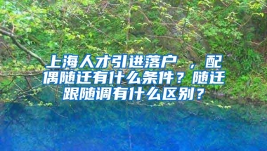 上海人才引进落户 ，配偶随迁有什么条件？随迁跟随调有什么区别？