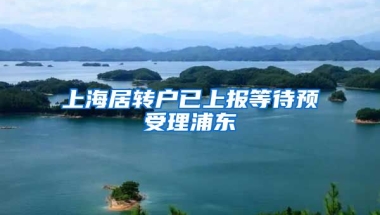 上海居转户已上报等待预受理浦东