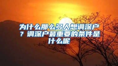 为什么那么多人想调深户？调深户最重要的条件是什么呢