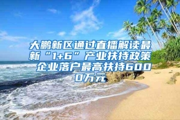 大鹏新区通过直播解读最新“1+6”产业扶持政策 企业落户最高扶持6000万元