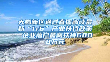 大鹏新区通过直播解读最新“1+6”产业扶持政策 企业落户最高扶持6000万元