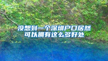 没想到一个深圳户口居然可以拥有这么多好处