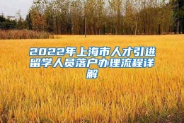 2022年上海市人才引进留学人员落户办理流程详解