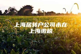 上海居转户公司未在上海缴税