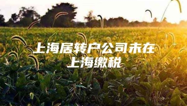 上海居转户公司未在上海缴税