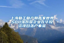 上海复工复产期首家世界500强跨国企业在华投资项目落户奉贤