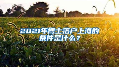 2021年博士落户上海的条件是什么？