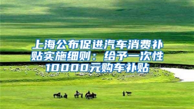 上海公布促进汽车消费补贴实施细则：给予一次性10000元购车补贴