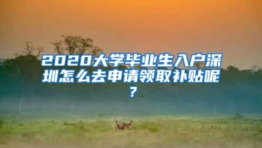 2020大学毕业生入户深圳怎么去申请领取补贴呢？