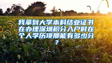 我拿到大学本科结业证书在办理深圳积分入户时在个人学历项那能有多少分？