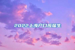 2022上海户口应届生