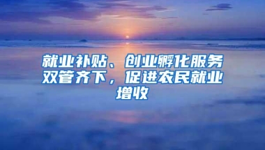 就业补贴、创业孵化服务双管齐下，促进农民就业增收