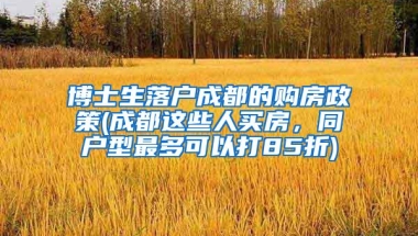 博士生落户成都的购房政策(成都这些人买房，同户型最多可以打85折)