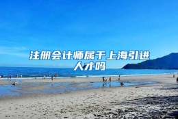 注册会计师属于上海引进人才吗