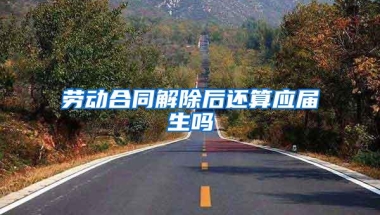 劳动合同解除后还算应届生吗