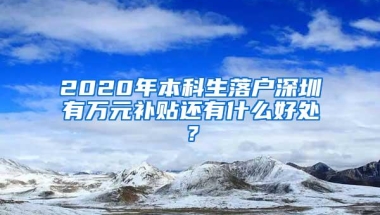 2020年本科生落户深圳有万元补贴还有什么好处？