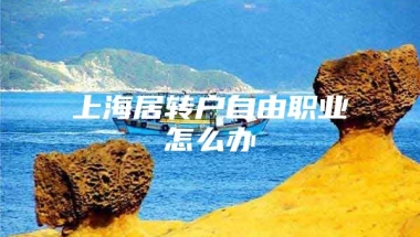 上海居转户自由职业怎么办