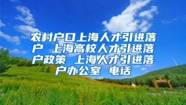 农村户口上海人才引进落户 上海高校人才引进落户政策 上海人才引进落户办公室 电话