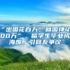 “出国花百万，回国挣4000万”，留学生毕业成海废，引网友争议