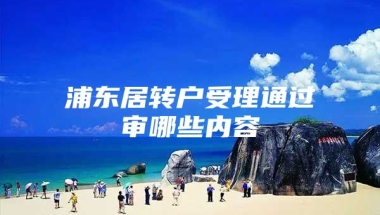 浦东居转户受理通过审哪些内容