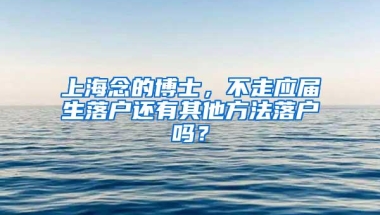 上海念的博士，不走应届生落户还有其他方法落户吗？