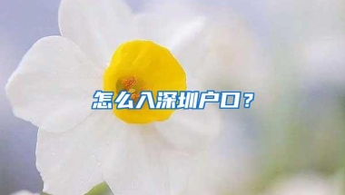 怎么入深圳户口？