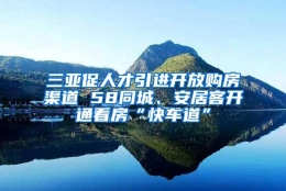 三亚促人才引进开放购房渠道 58同城、安居客开通看房“快车道”