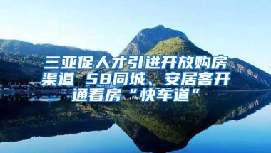 三亚促人才引进开放购房渠道 58同城、安居客开通看房“快车道”