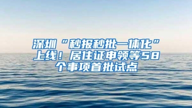 深圳“秒报秒批一体化”上线！居住证申领等58个事项首批试点