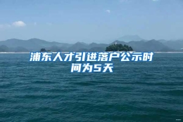 浦东人才引进落户公示时间为5天