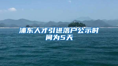 浦东人才引进落户公示时间为5天