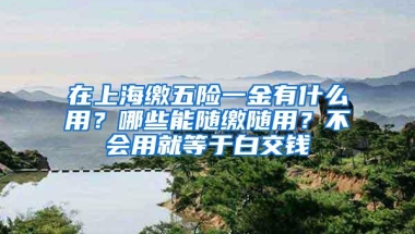 在上海缴五险一金有什么用？哪些能随缴随用？不会用就等于白交钱