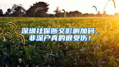 深圳社保断交影响加码，非深户真的很受伤！