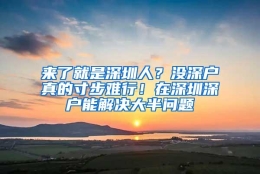 来了就是深圳人？没深户真的寸步难行！在深圳深户能解决大半问题