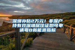 深圳补贴2万元！非深户持有效深圳居住证即可申请粤B新能源指标