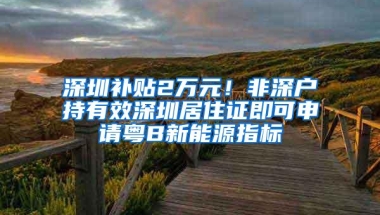 深圳补贴2万元！非深户持有效深圳居住证即可申请粤B新能源指标