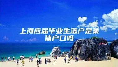 上海应届毕业生落户是集体户口吗