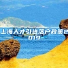 上海人才引进落户政策2019