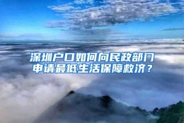 深圳户口如何向民政部门申请最低生活保障救济？