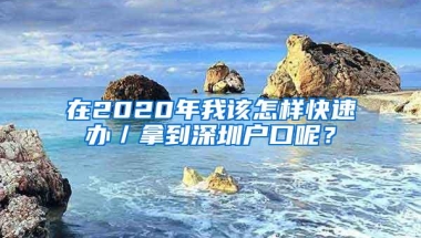 在2020年我该怎样快速办／拿到深圳户口呢？