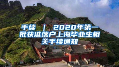 手续 ｜ 2020年第一批获准落户上海毕业生相关手续通知