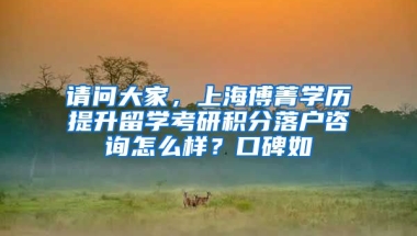 请问大家，上海博菁学历提升留学考研积分落户咨询怎么样？口碑如