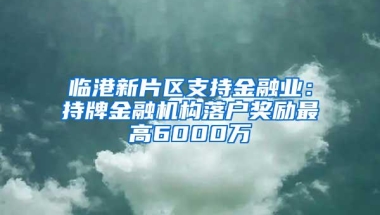 临港新片区支持金融业：持牌金融机构落户奖励最高6000万