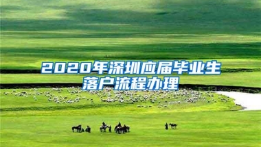 2020年深圳应届毕业生落户流程办理