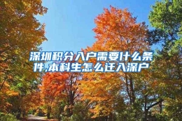 深圳积分入户需要什么条件,本科生怎么迁入深户