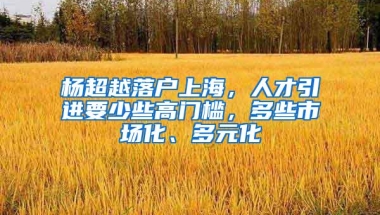 杨超越落户上海，人才引进要少些高门槛，多些市场化、多元化